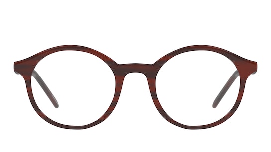 DbyD DB OF5033 (NN00) Glasses Transparent / Brown
